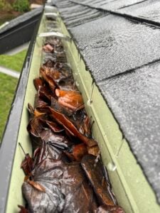 Gutters full of wet leaves